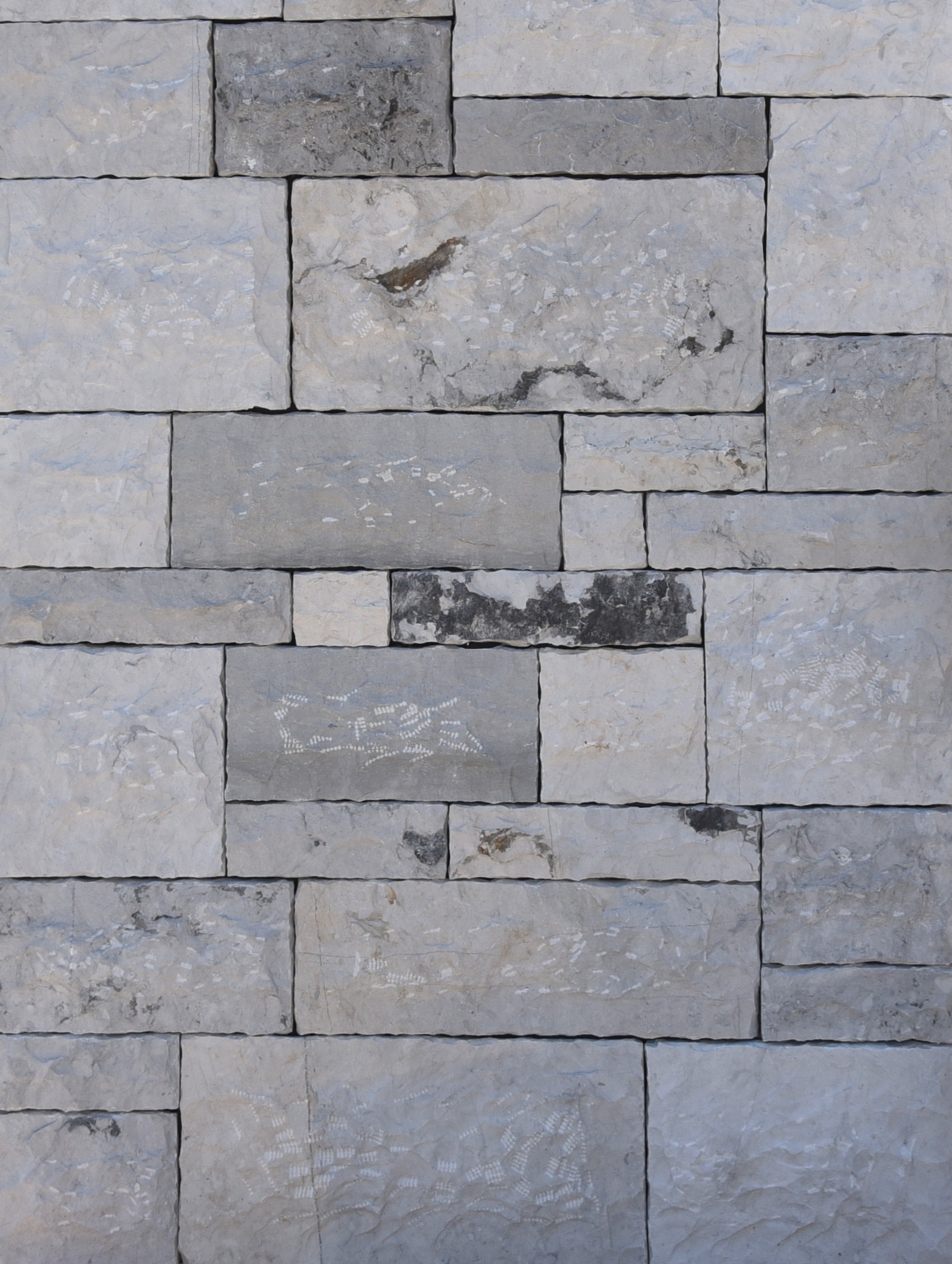 Texture israne